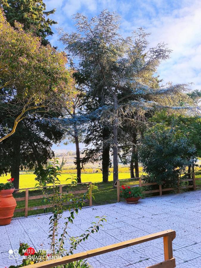 Agriturismo Pian Dell'Osa Villa Montiano  Ngoại thất bức ảnh