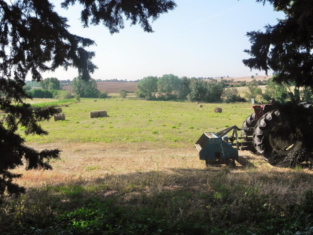 Agriturismo Pian Dell'Osa Villa Montiano  Ngoại thất bức ảnh