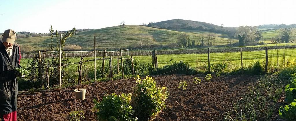 Agriturismo Pian Dell'Osa Villa Montiano  Ngoại thất bức ảnh